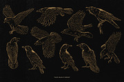 Crow Raven Illustrations pack, an Animal Illustration by Trape Graphic Studio (Thumbnail 2 of 7)