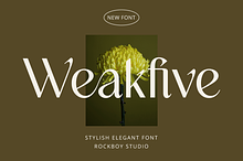 Weakfive - Modern Stylish