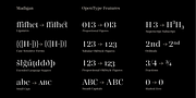 Madigan, a Serif Font by Hoftype (Thumbnail 13 of 13)