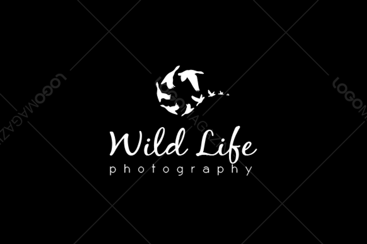 Photography WildLife  Logo, a Branding & Logo Template by LogoBuy (Photo 3 of 5)