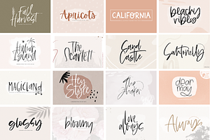 The Designer's Font BUNDLE