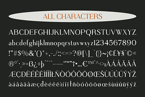 Demila Modern Font