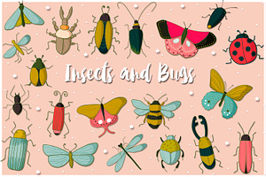 Insects And Bugs