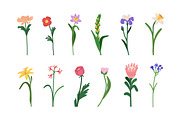 Blossomed flowers, floral plants set, a Decorative Illustration by Good Studio (Thumbnail 2 of 6)