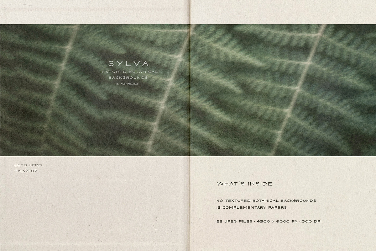 Sylva Textured Botanical Backgrounds, a Background Graphic by alonahaidash (Photo 2 of 15)