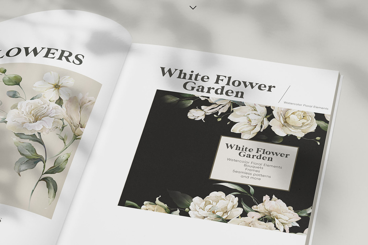 Watercolor White Flowers Collection, a Decorative Illustration by Damian Roh (Photo 6 of 16)