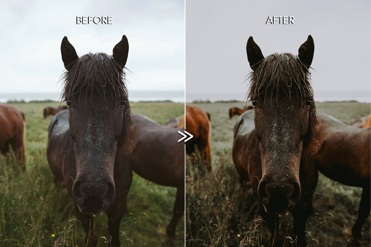 PINE Warm Moody Lightroom Presets preview 4
