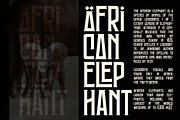 Mongondow Display Typeface Font, a Sans Serif Font by Storytype Studio (Thumbnail 6 of 15)