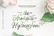 Aromatic Ginger, a Script Font by Java pep (Thumbnail 4 of 14)