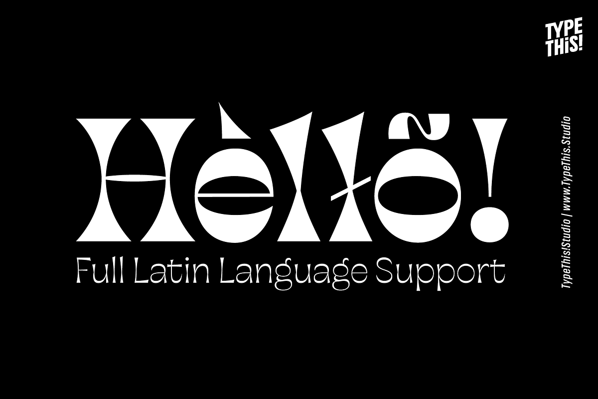 Horizona Reverse Contrast Font, a Sans Serif Font by TypeThis!Studio (Photo 2 of 9)