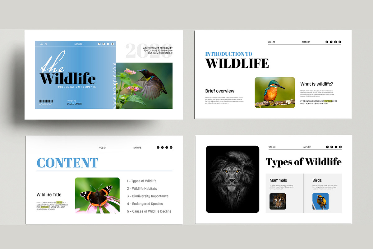 Wildlife Presentation Template, a Presentation Template by MightyDesign (Photo 2 of 8)