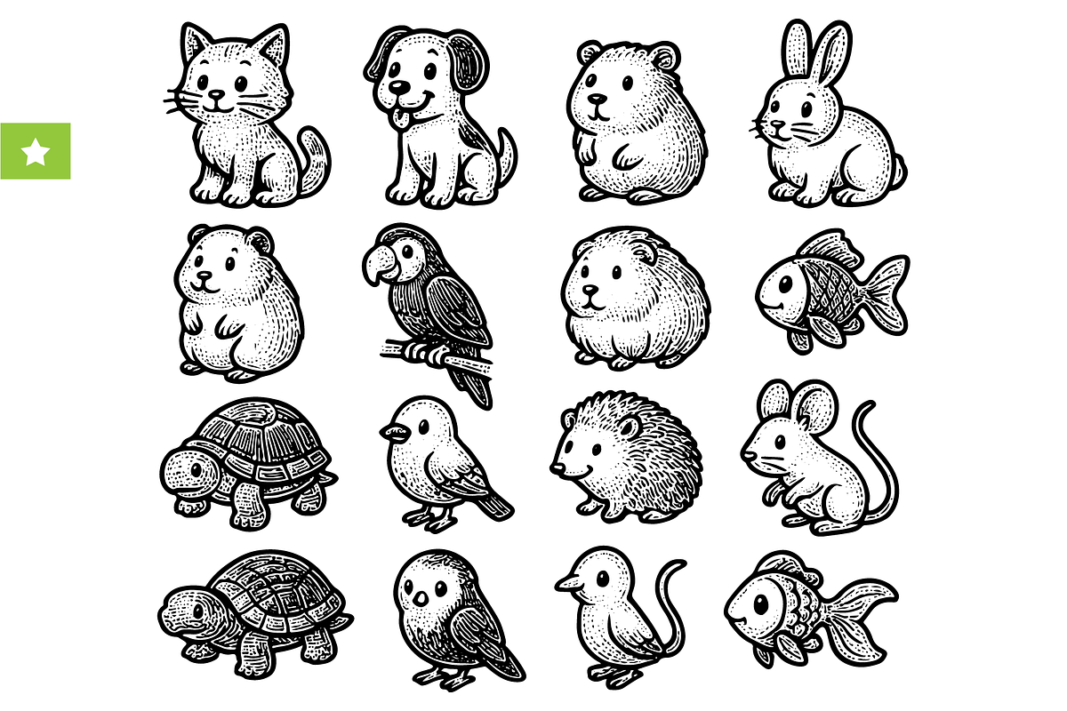 Cute Pets and Animals, an Object Graphic by RT Studio