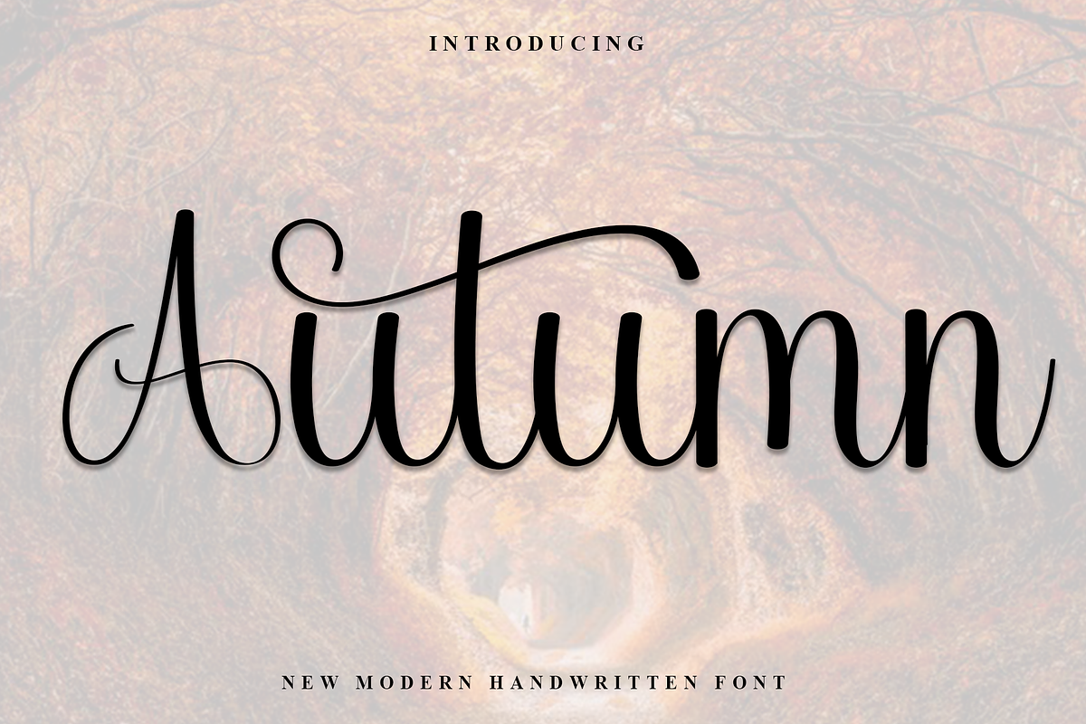Autumn, a Handwritten Font by InermediaSTUDIO (Photo 1 of 8)