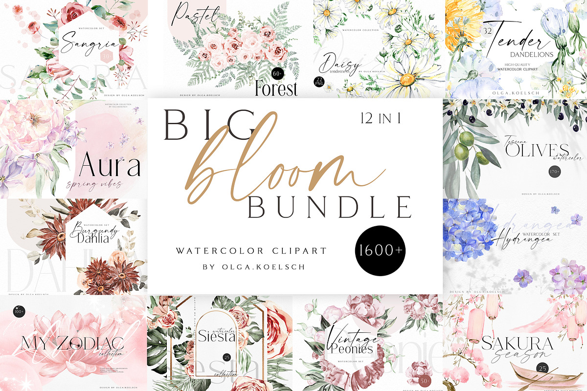 Big Bloom Bundle, an Object Illustration by Olga Koelsch (Photo 1 of 13)
