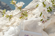 Whimsical Garden Patterns & Prints, a Decorative Illustration by Muse Artist (Thumbnail 12 of 20)