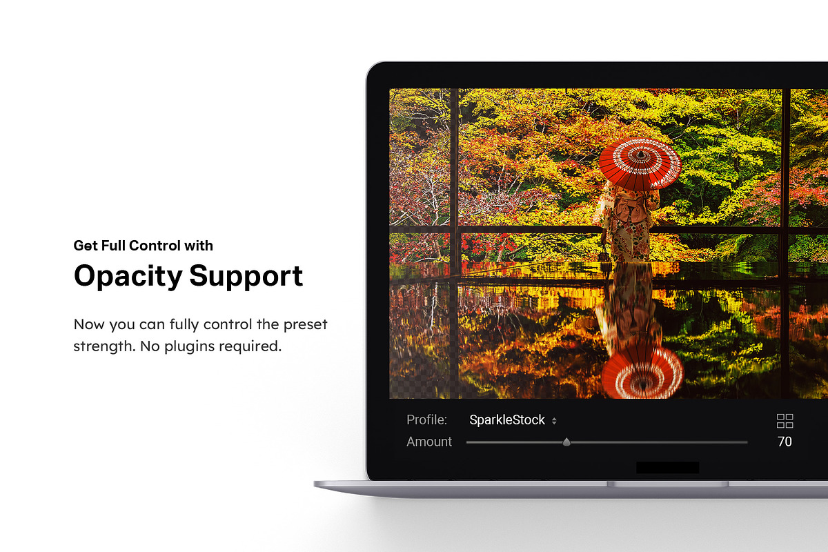 50 Kyoto Lightroom Presets and LUTs, a Preset Add-On by SparkleStock (Photo 9 of 10)