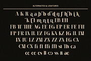 Casthelic - Elegant Serif Typeface, a Serif Font by Dryy.type (Thumbnail 11 of 11)