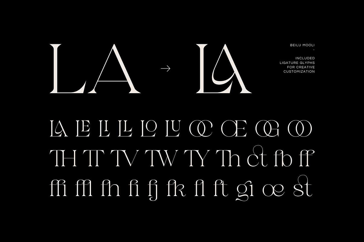 Beilu Moolli - Aesthetic Serif, a Serif Font by Imoodev (Photo 4 of 5)