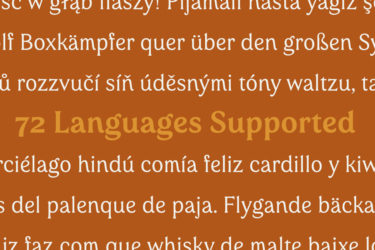 Valeson, a Serif Font by insigne (Photo 4 of 5)