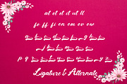 Saphiet - Casual Script Font, a Script Font by Dhabee (Thumbnail 7 of 17)