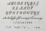 Mastyr, a Script Font by Digital Typeface Studio (Thumbnail 2 of 6)