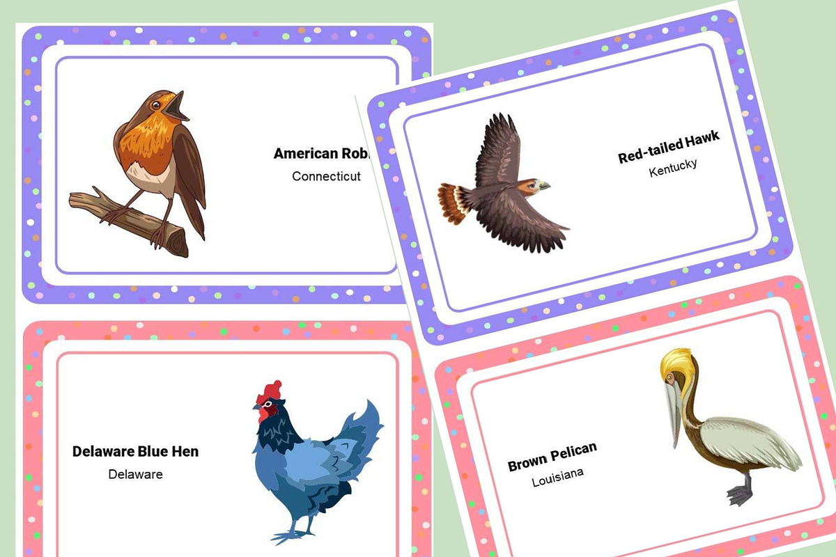 50 State Birds Printable Flashcards, an Education Illustration by Sourcedigi (Photo 3 of 3)