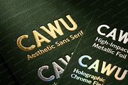 Cawu - Elegant Minimalist Serif, a Serif Font by Astuti Studio (Thumbnail 25 of 25)