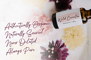 Adelyn Script Font, a Script Font by Freshly Made Type (Thumbnail 10 of 13)