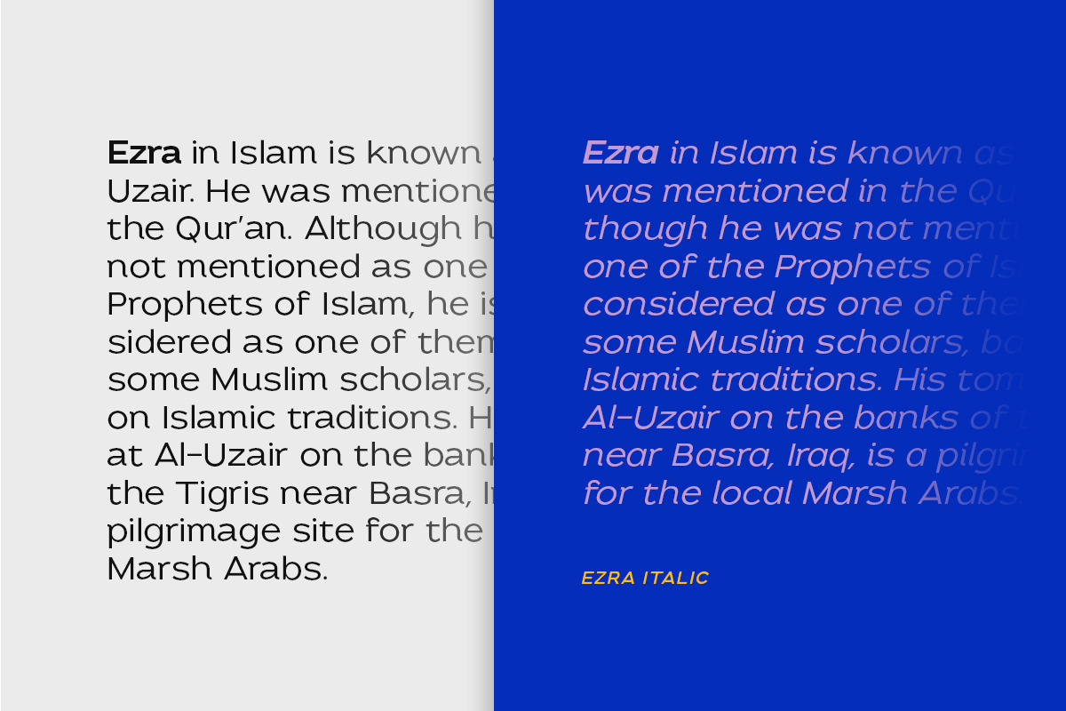 Ezra - Modern Sans (50% OFF), a Sans Serif Font by Sarid Ezra (Photo 2 of 9)