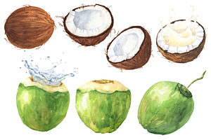 Watercolor Coconut Set