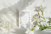 White Florals Watercolor Collection, a Decorative Illustration by Altea Design Studio (Thumbnail 2 of 13)