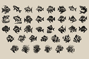 340 Sea Creatures illustrations, an Animal Illustration by Nocturnal Wolf (Thumbnail 14 of 15)
