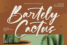 Bartely Cactus Natural Handwritten