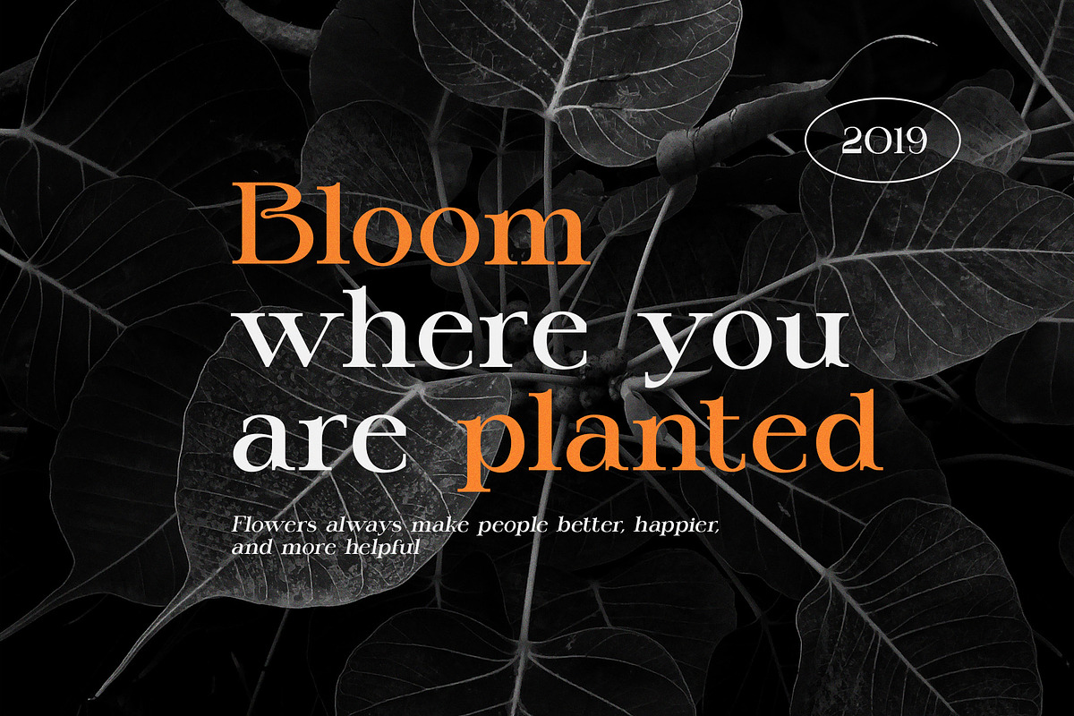 Kemri Stylish Serif Font, a Serif Font by Graphicxell (Photo 6 of 8)