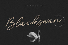 Blackswan - Monoline Signature Font