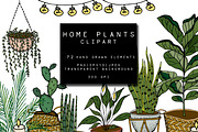 Home Plants Clipart Collection, a Graphic by Hand drawn Boutique (Thumbnail 1 of 10)