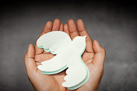 Hands Holding a White Paper Dove. Sign of Peace and New Beginnin