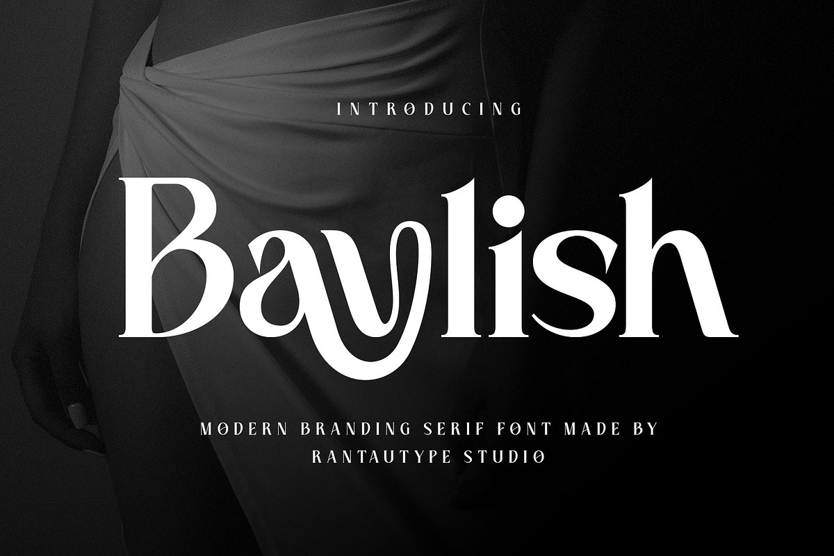Baylish Modern Branding Serif Font, a Serif Font by RantautypeStudio (Photo 1 of 15)