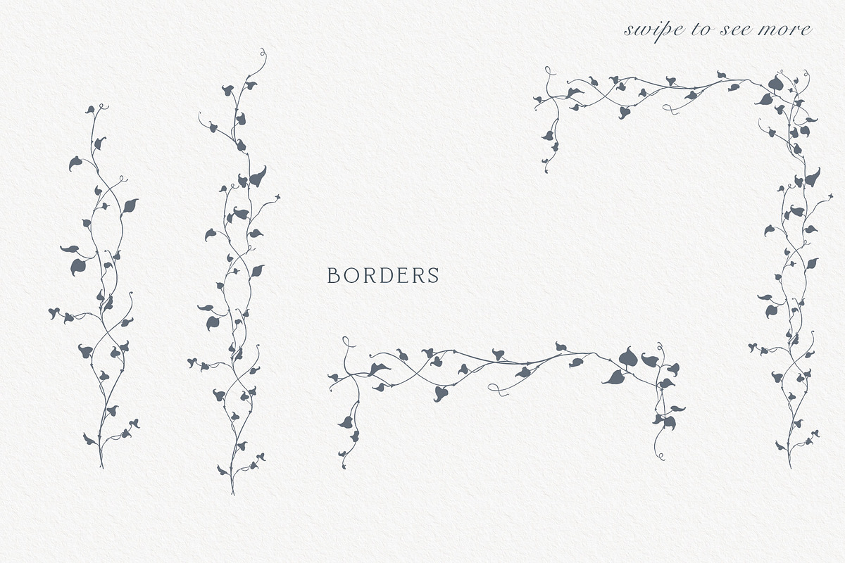 Vines Linear Clipart Kit, an Object Illustration by Sensual Art (Photo 6 of 7)