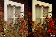 Misty Autumn Forest Presets, a Preset Add-On by AAA Presets (Thumbnail 3 of 13)