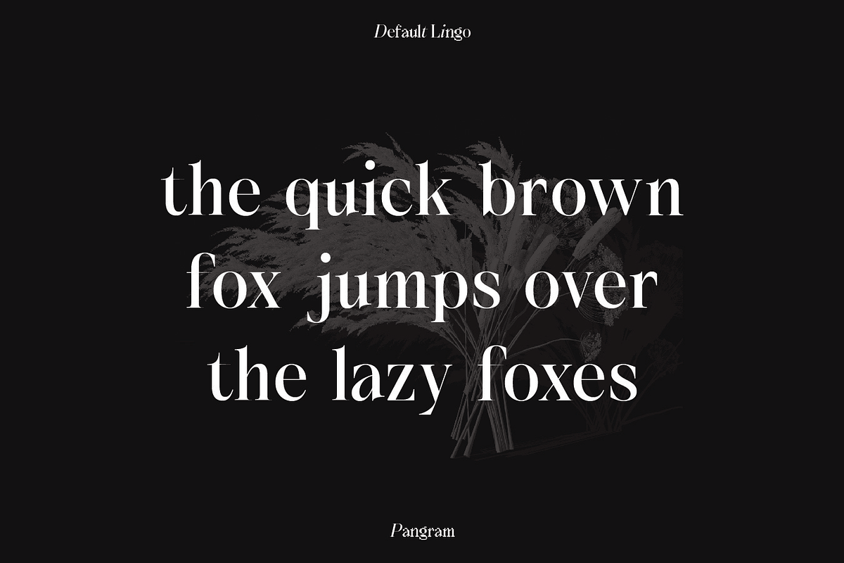 SS Default Lingo - Display Mix Font, a Serif Font by Typocracy Studio (Photo 9 of 12)