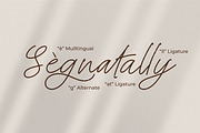 Steelbany, a Script Font by Goresan Studio (Thumbnail 14 of 15)