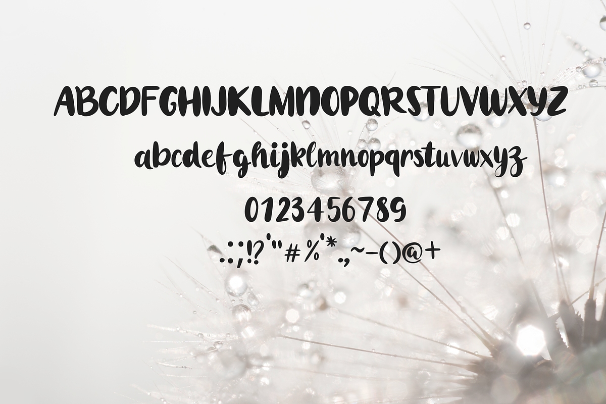 Wonderful, a Handwritten Font by nongnuchpolyiam1 (Photo 6 of 6)