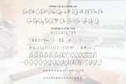 Calina Signature | Script Font, a Handwritten Font by Scratchones (Thumbnail 7 of 8)
