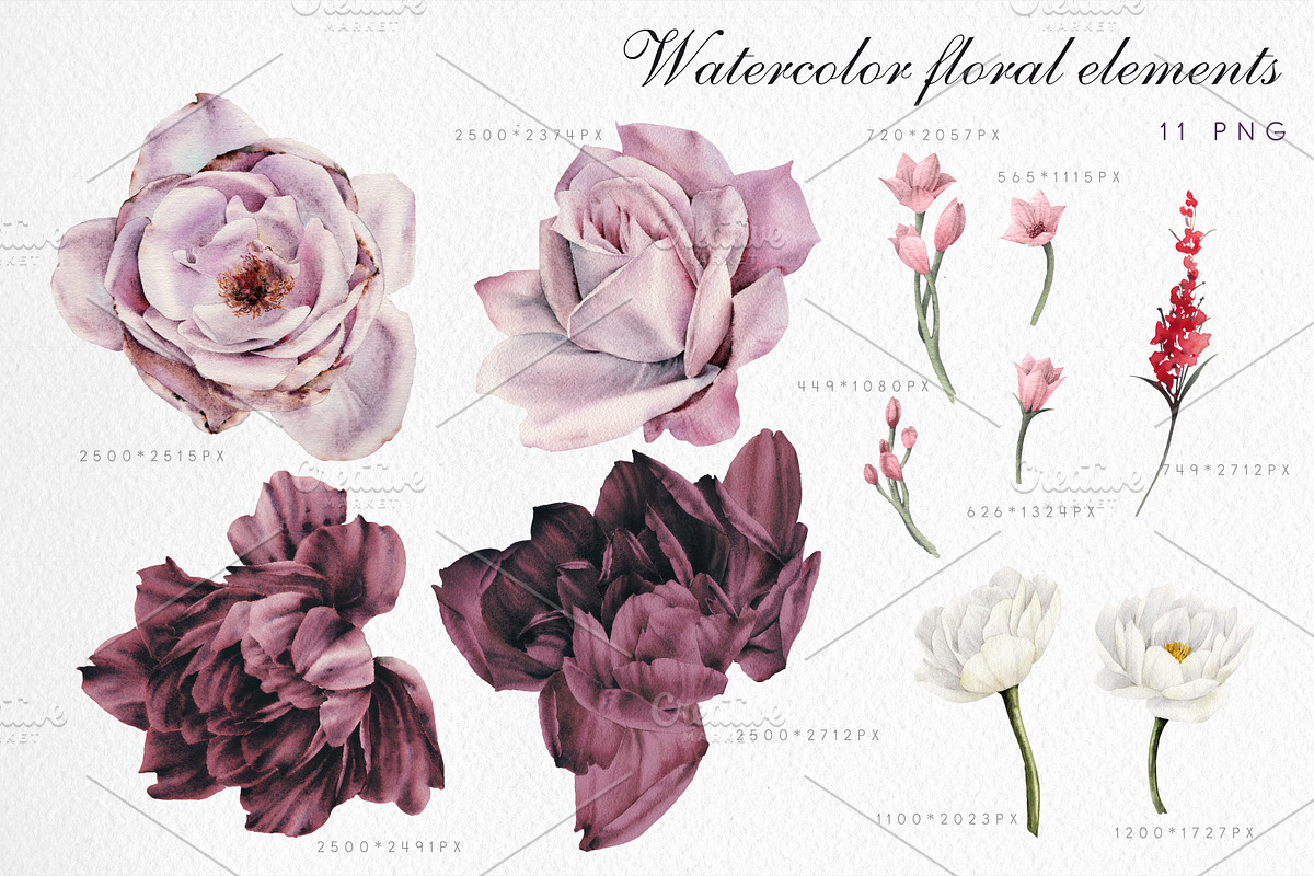 Watercolor Floral Bundle, a Texture Illustration by ollalya (Photo 75 of 112)