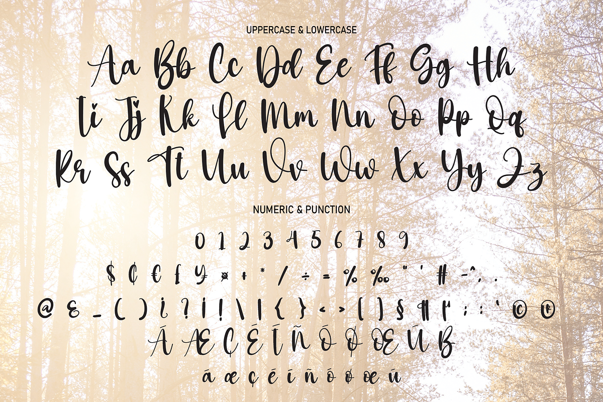 Sunlight | Script Font, a Script Font by Scratchones (Photo 7 of 8)