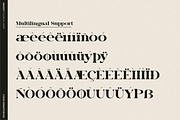 Gradzy | Display Serif Font, a Serif Font by Denustudios (Thumbnail 12 of 13)