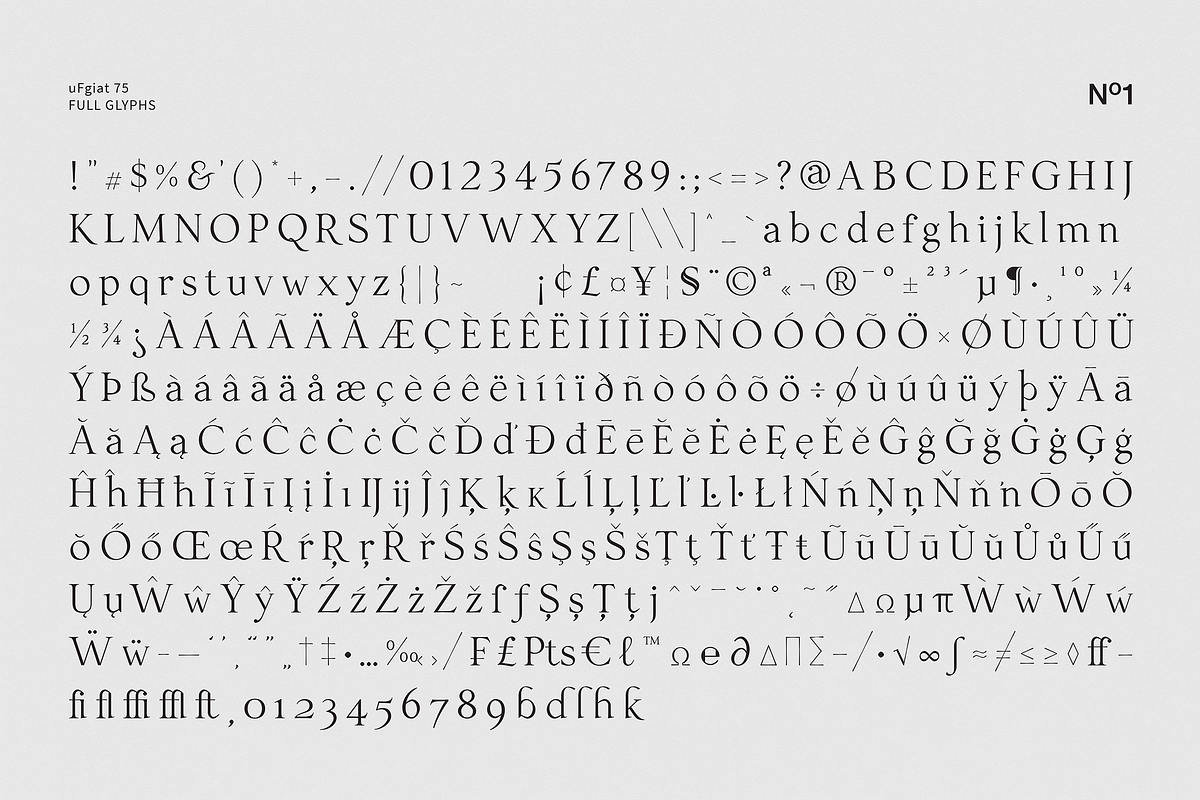 uFgiat75 Serif, a Serif Font by silukEight (Photo 6 of 9)