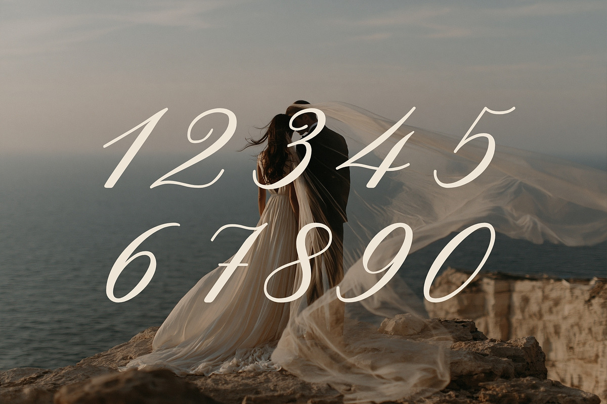 Vienna Romance - Calligraphy Script, a Script Font by HipFonts (Photo 3 of 11)