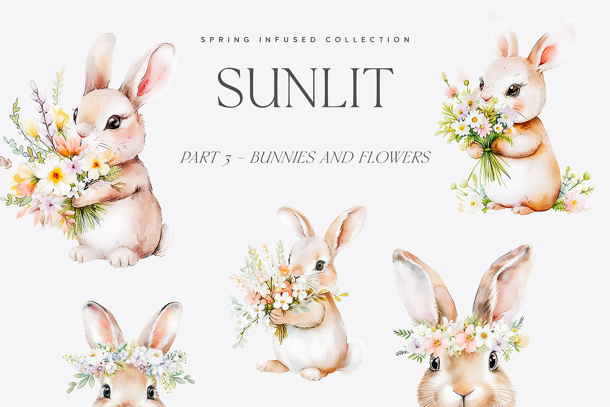 Sunlit - Spring Library, a Seasonal Illustration by Isabelle Salem (Photo 11 of 13)